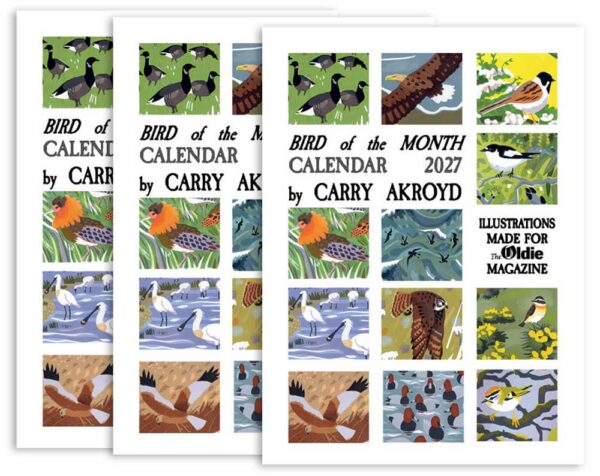 2027 Calendar (x3)